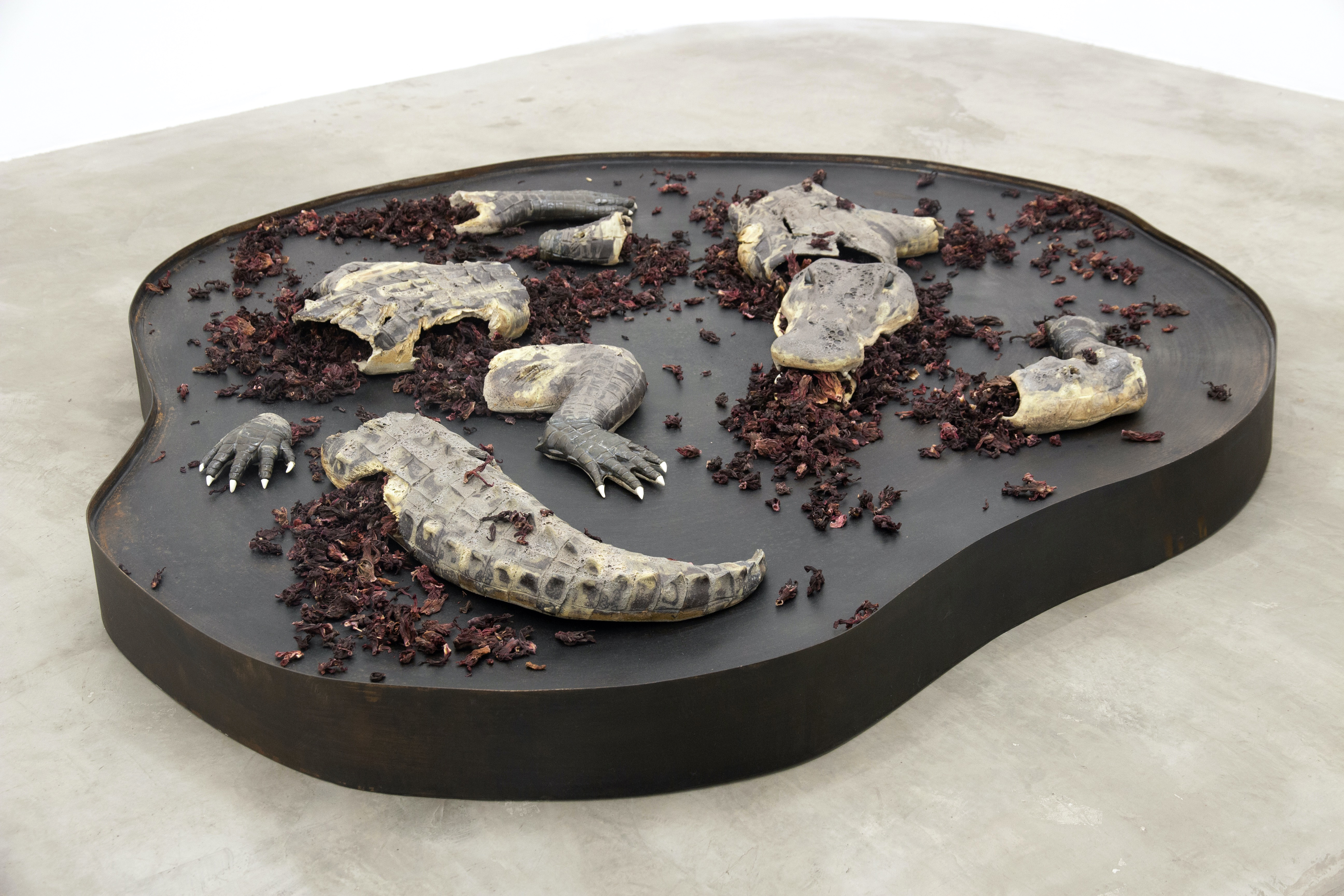 La muerte del caiman, 2025