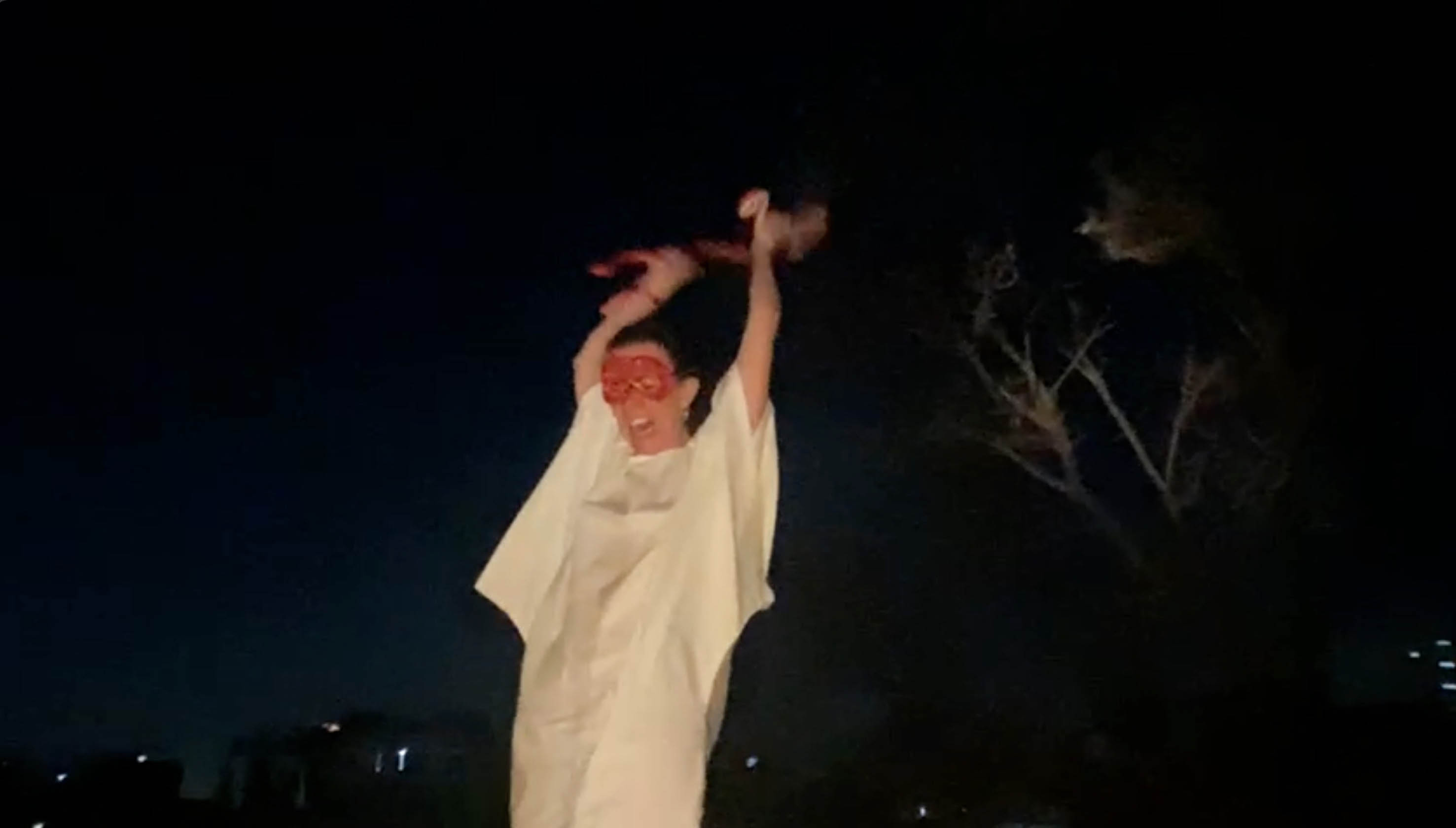 Vida y muerte de la medusa.
